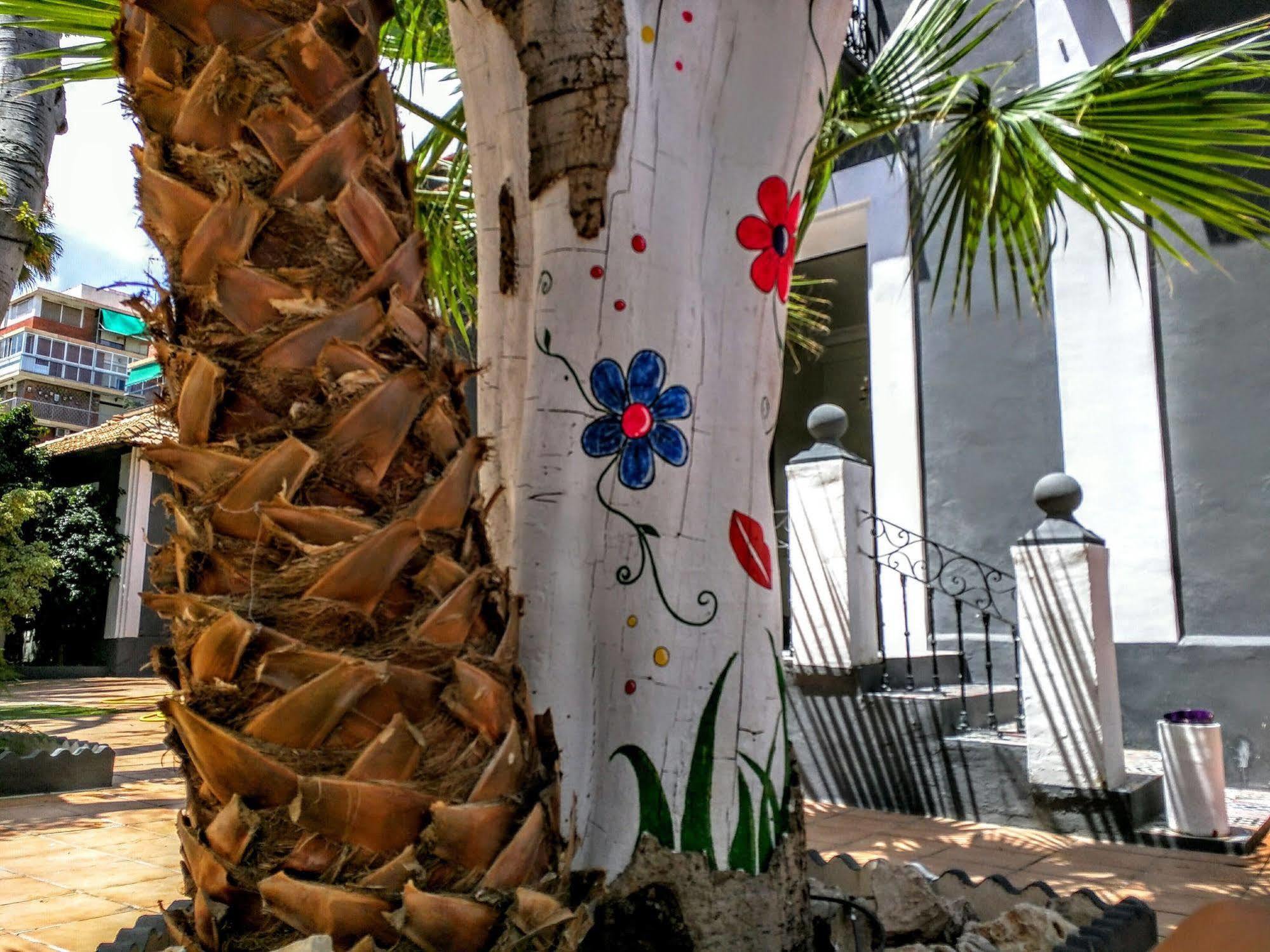 Nwt Paradise Urban Hostel Alicante Exterior foto